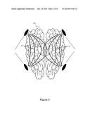 Measurement of Cerebral Physiologic Parameters Using Bioimpedance diagram and image