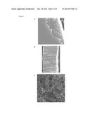 DEVICE HAVING TITANIA NANOTUBE MEMBRANE FOR DRUG DELIVERY diagram and image
