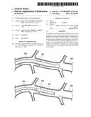 CATHETER-BASED CANCER THERAPY diagram and image