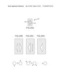 REENTRY CATHETHER AND METHOD THEREOF diagram and image