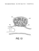 POLYMER COMPOSITES FOR BIOMEDICAL APPLICATIONS AND METHODS OF MAKING diagram and image