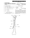 FLEXIBLE BONE SCREW diagram and image