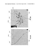 METHOD OF CALIBRATING FRACTURE GEOMETRY TO MICROSEISMIC EVENTS diagram and image