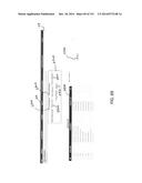 SYSTEM AND METHOD FOR PROVIDING MAPPING BETWEEN DIFFERENT DISEASE     CLASSIFICATION CODES diagram and image