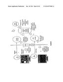 VIRTUAL CHANNEL TABLE FOR A BROADCAST PROTOCOL AND METHOD OF BROADCASTING     AND RECEIVING BROADCAST SIGNALS USING THE SAME diagram and image