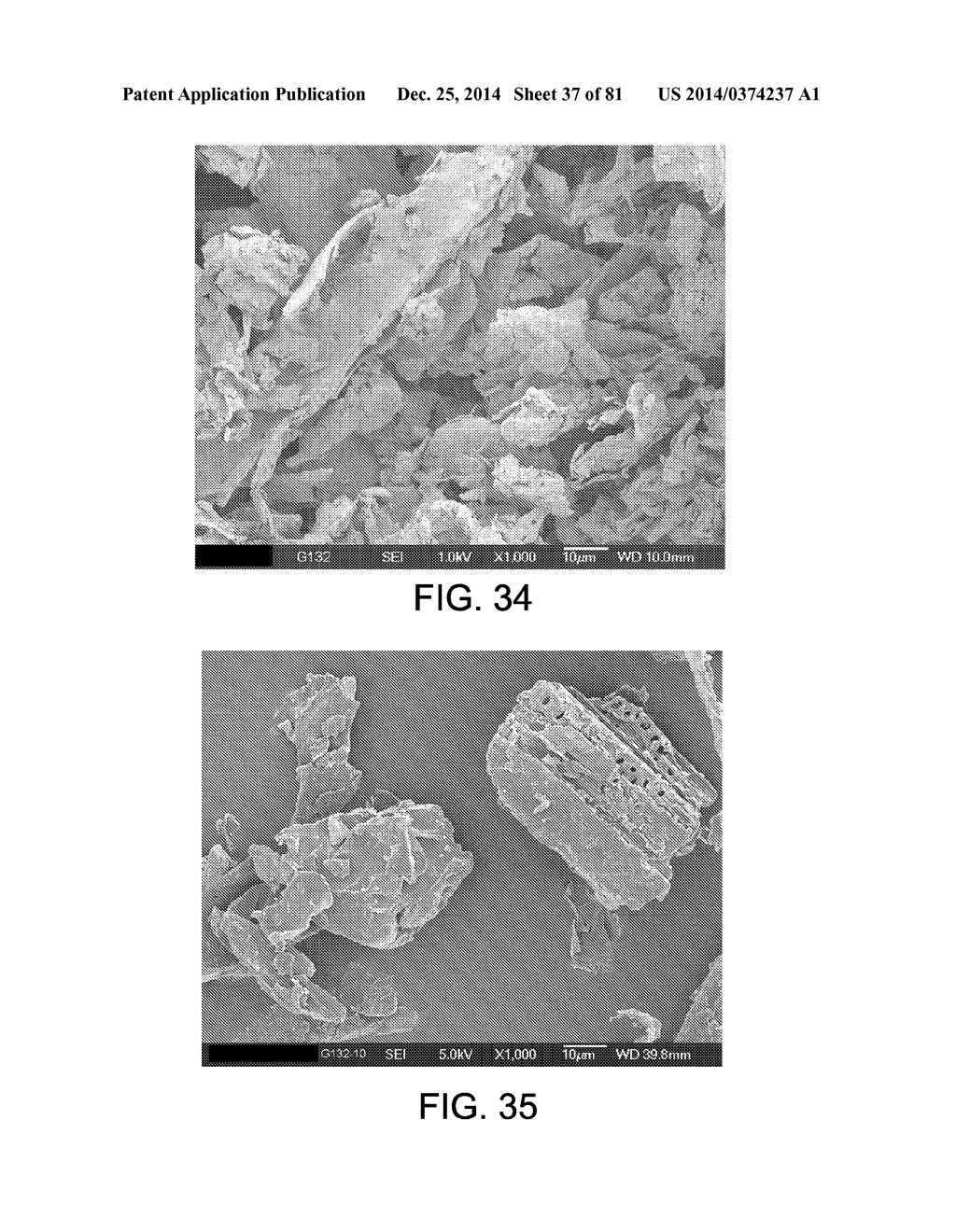 PROCESSING BIOMASS AND PETROLEUM CONTAINING MATERIALS - diagram, schematic, and image 38