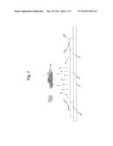 METHOD AND STSTEM FOR DENYING SOARING AND MIGRATORY BIRDS ACCESS TO     CRITICAL AREAS OF AIRPORTS AND AIRCRAFTS diagram and image