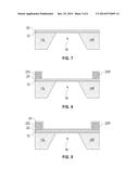 NANOGAP DEVICE WITH CAPPED NANOWIRE STRUCTURES diagram and image