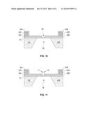 NANOGAP DEVICE WITH CAPPED NANOWIRE STRUCTURES diagram and image