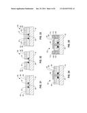 CARBON NANOSTRUCTURE DEVICE FABRICATION UTILIZING PROTECT LAYERS diagram and image