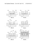 CARBON NANOSTRUCTURE DEVICE FABRICATION UTILIZING PROTECT LAYERS diagram and image