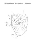 ROOF AIRBAG DEVICE AND OCCUPANT PROTECTION DEVICE diagram and image