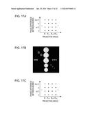 WAVEFRONT MEASURING APPARATUS, WAVEFRONT MEASURING METHOD, AND     COMPUTER-READABLE MEDIUM STORING PROGRAM diagram and image