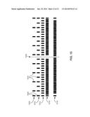 PRODUCTS WITH TAPE FORMATS HAVING ONE OR MORE SPARE AREAS AND APPARATUSES     CONFIGURED FOR USE WITH SUCH PRODUCTS diagram and image