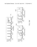 NETWORK COMMUNICATION USING DIVERSITY diagram and image