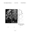 METHOD FOR 3D MINERAL MAPPING OF A ROCK SAMPLE diagram and image