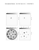 SYSTEMS FOR CHARACTERIZING ATHEROSCLEROTIC PLAQUE AND METHODS OF USING     SAME diagram and image