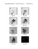 RECONSTRUCTION OF TIME-VARYING DATA diagram and image