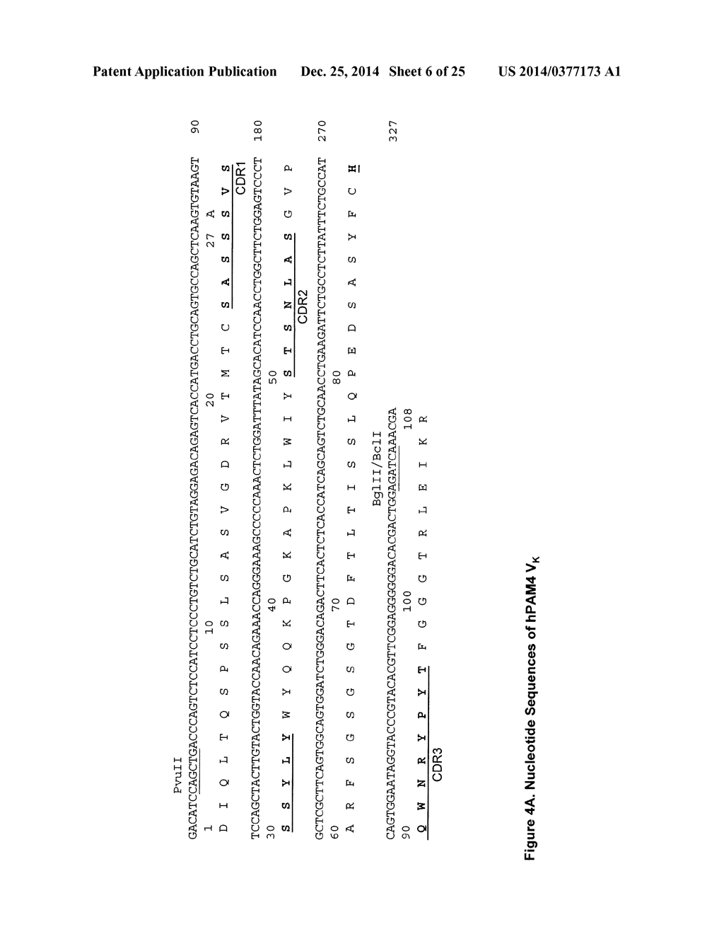 Anti-Mucin Antibodies for Early Detection and Treatment of Pancreatic     Cancer - diagram, schematic, and image 07