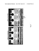 STABLE FORMULATIONS FOR CNS DELIVERY OF ARYLSULFATASE A diagram and image