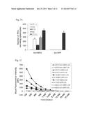 VACCINES AGAINST ANTIGENS INVOLVED IN THERAPY RESISTANCE AND METHODS OF     USING SAME diagram and image