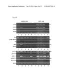 VACCINES AGAINST ANTIGENS INVOLVED IN THERAPY RESISTANCE AND METHODS OF     USING SAME diagram and image