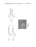 FABRICATION OF GELATIN HYDROGEL SHEET FOR THE TRANSPLANTATION OF CORNEAL     ENDOTHELIUM diagram and image