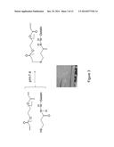 FABRICATION OF GELATIN HYDROGEL SHEET FOR THE TRANSPLANTATION OF CORNEAL     ENDOTHELIUM diagram and image