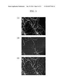 COMPOSITION FOR CONTROLLED RELEASE OF PHYSIOLOGICALLY ACTIVE SUBSTANCE diagram and image