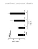 1-[2-(2,4-Dimethylphenylsulfanyl)-Phenyl]Piperazine As A Compound With     Combined Serotonin Reuptake, 5-HT3 And 5-HT1a Activity For The Treatment     Of Cognitive Impairment diagram and image