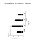 1-[2-(2,4-Dimethylphenylsulfanyl)-Phenyl]Piperazine As A Compound With     Combined Serotonin Reuptake, 5-HT3 And 5-HT1a Activity For The Treatment     Of Cognitive Impairment diagram and image