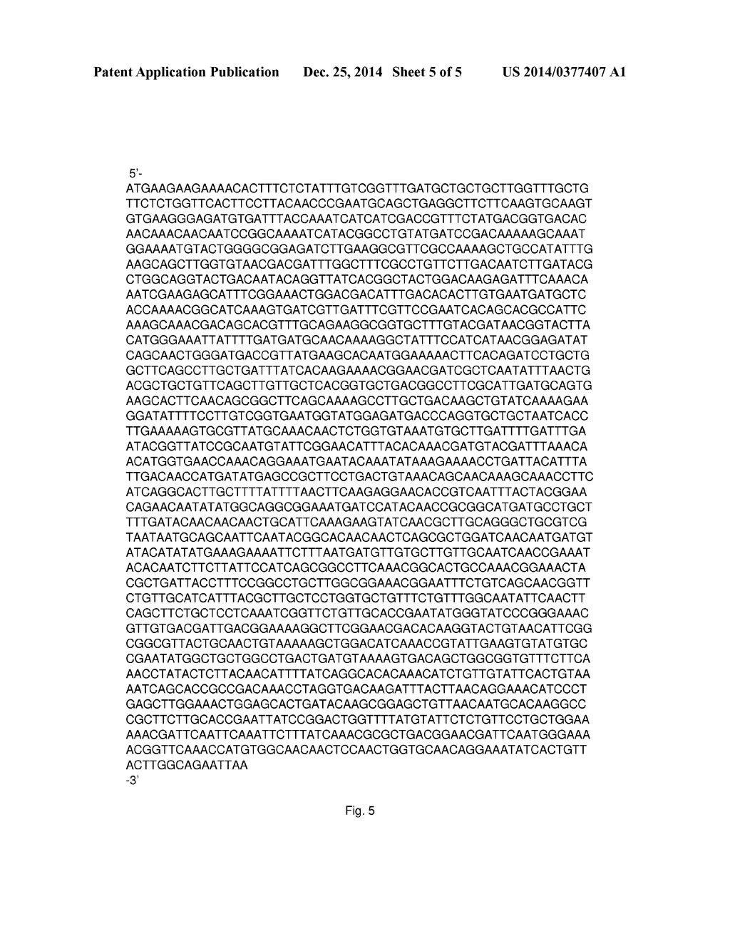 ALPHA-AMYLASE - diagram, schematic, and image 06