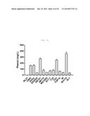 NOVEL SYNTHESIS-REGULATING SRNA AND METHOD FOR PREPARING SAME diagram and image