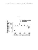 NOVEL SYNTHESIS-REGULATING SRNA AND METHOD FOR PREPARING SAME diagram and image