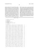 NOVEL SYNTHESIS-REGULATING SRNA AND METHOD FOR PREPARING SAME diagram and image