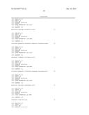 NOVEL SYNTHESIS-REGULATING SRNA AND METHOD FOR PREPARING SAME diagram and image