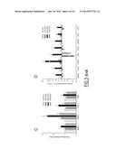 METHODS FOR IDENTIFYING DENDRITIC CELL SUBSETS, FOR DETERMINING IF A     PATIENT IS DEVELOPING A REGULATORY OR AN EFFECTOR IMMUNE RESPONSE, AND     FOR DETERMINING RESPONSE TO IMMUNOTHERAPY diagram and image