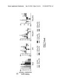 METHODS FOR IDENTIFYING DENDRITIC CELL SUBSETS, FOR DETERMINING IF A     PATIENT IS DEVELOPING A REGULATORY OR AN EFFECTOR IMMUNE RESPONSE, AND     FOR DETERMINING RESPONSE TO IMMUNOTHERAPY diagram and image