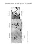 THERMAL CONTRAST ASSAY AND READER diagram and image