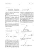 METHOD FOR PRODUCING POLYPEPTIDE FRAGMENT WITH HIGH EFFICIENCY, WHICH IS     SUITABLE FOR NCL METHOD diagram and image