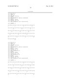 METHOD FOR PRODUCING POLYPEPTIDE FRAGMENT WITH HIGH EFFICIENCY, WHICH IS     SUITABLE FOR NCL METHOD diagram and image