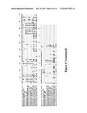 Methods of Producing Carbamoyl Phosphate and Urea diagram and image