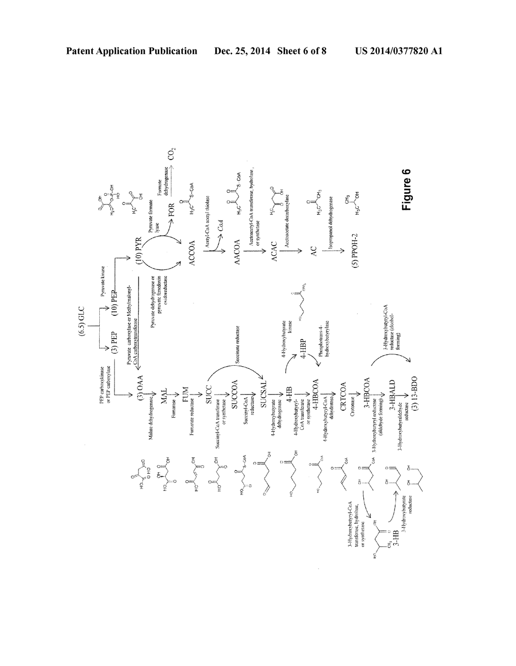 MICROORGANISMS AND METHODS FOR THE CO-PRODUCTION OF ISOPROPANOL WITH     PRIMARY ALCOHOLS, DIOLS AND ACIDS - diagram, schematic, and image 07