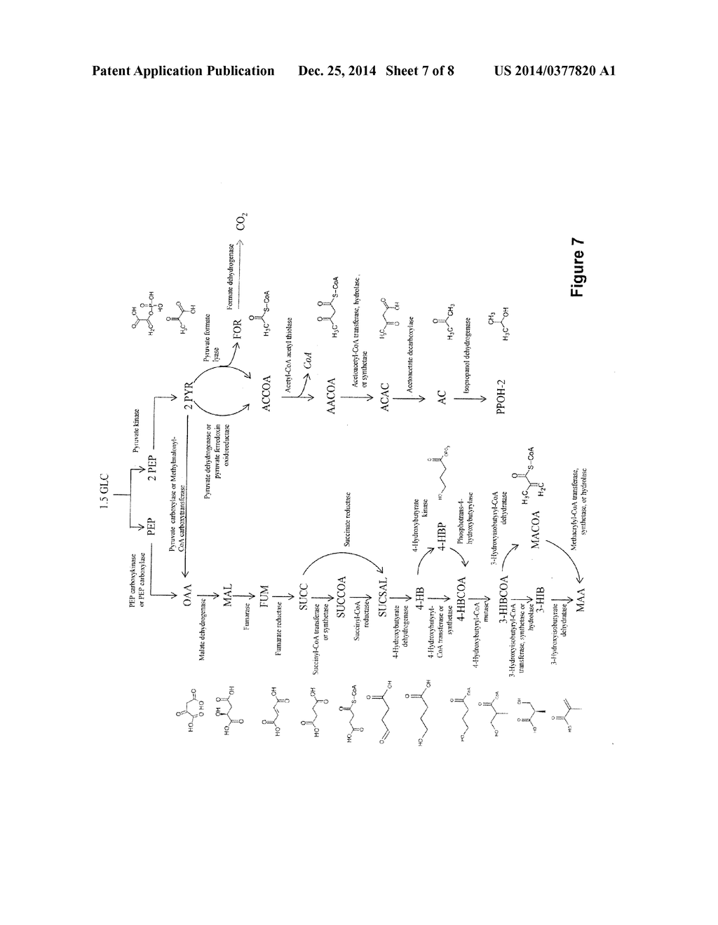 MICROORGANISMS AND METHODS FOR THE CO-PRODUCTION OF ISOPROPANOL WITH     PRIMARY ALCOHOLS, DIOLS AND ACIDS - diagram, schematic, and image 08