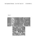 Graphene-Reinforced Ceramic Composites and Uses Therefor diagram and image