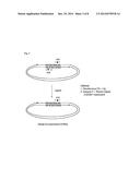 CIRCULARIZED TEMPLATES FOR SEQUENCING diagram and image