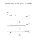 CIRCULARIZED TEMPLATES FOR SEQUENCING diagram and image