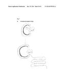 CIRCULARIZED TEMPLATES FOR SEQUENCING diagram and image