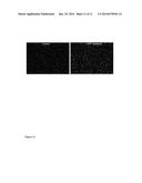 Carbofluorescein Lactone Ion Indicators and Their Applications diagram and image