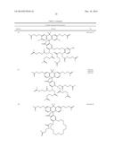 Carbofluorescein Lactone Ion Indicators and Their Applications diagram and image